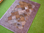 Kuhfell Teppich Cedro 183 - 83x119 cm