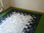 Kuhfell Teppich Casa 417 - 170x239 cm